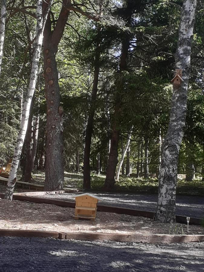 Chalet Libellule Domaine De La Mamounette Champclause Bagian luar foto