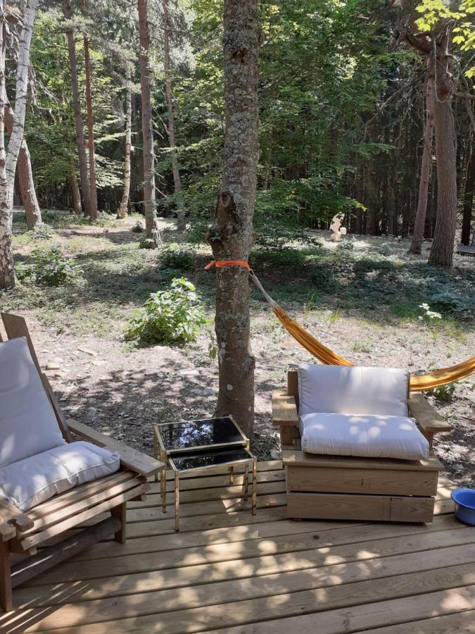 Chalet Libellule Domaine De La Mamounette Champclause Bagian luar foto