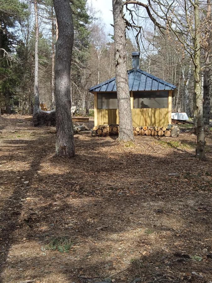 Chalet Libellule Domaine De La Mamounette Champclause Bagian luar foto